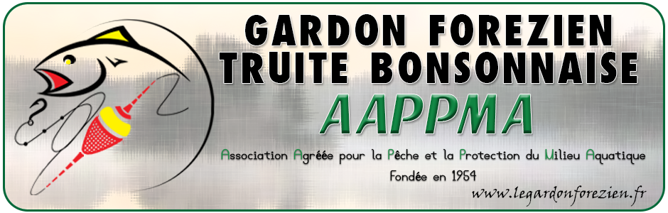 logotype
